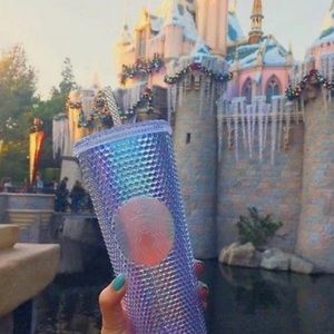 Starbucks Rainbow Iridescent Holographic Tumbler